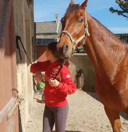 De Charme A La Ferme 3*